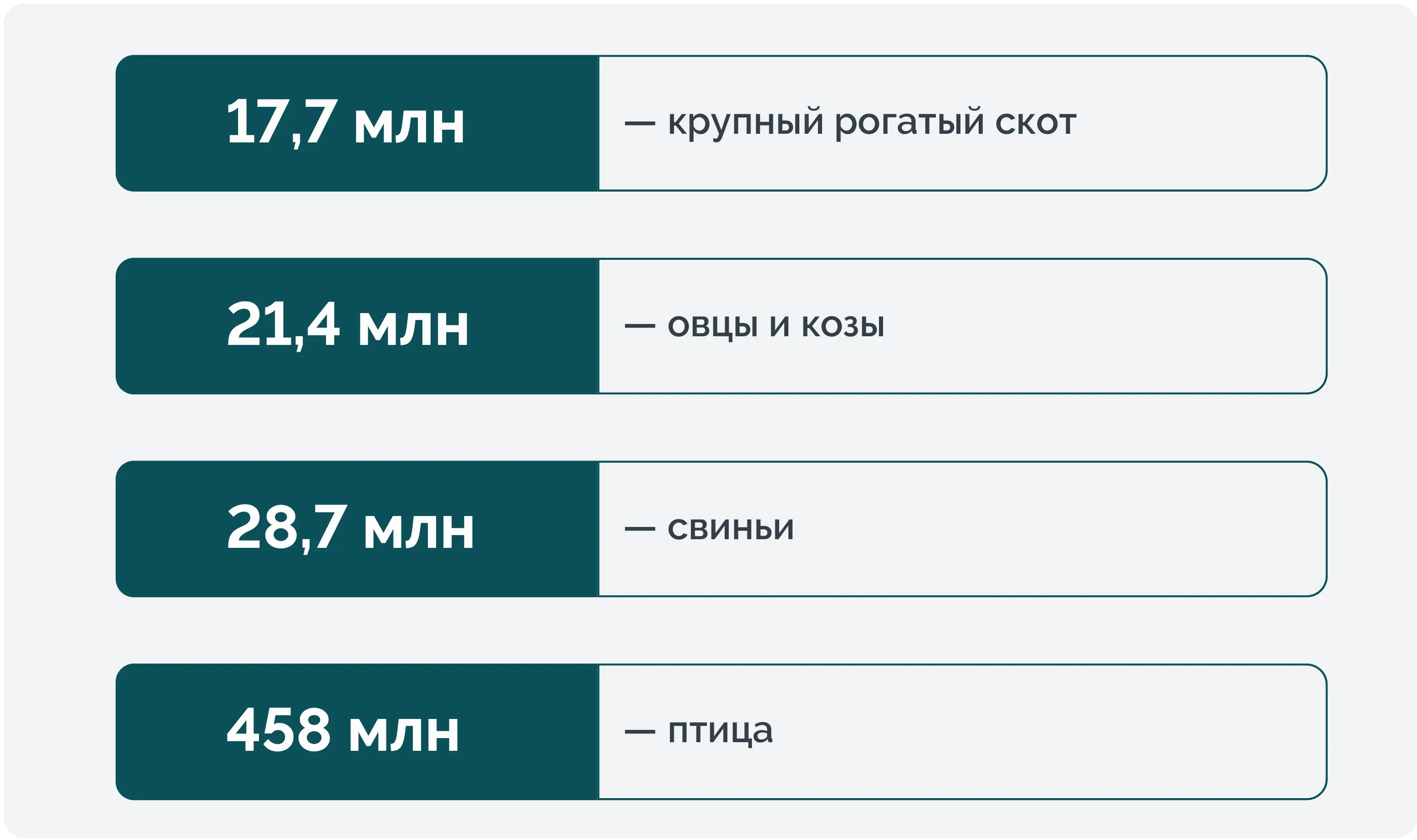 Источник: Росстат, данные ноября 2023 года