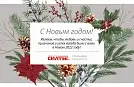 С наступающим Новым 2022 годом!
