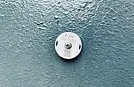 RFID-метки от ГК «Силтэк» помогают решать экологические задачи Приморья
