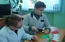 Студенты-зоотехники учатся бирковать на ушных бирках "Силфлекс"