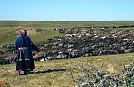 Новый видеоотзыв от клиента ГК "Силтэк"